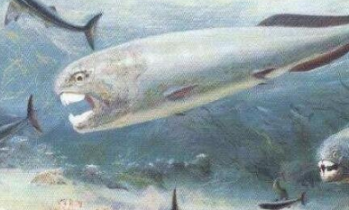 ����Ϳֲ���������Щ ��ʱ��ǿ�Ĳ���������