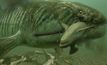 ����Ϳֲ���������Щ ��ʱ��ǿ�Ĳ���������