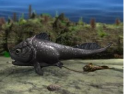 ����Ϳֲ���������Щ ��ʱ��ǿ�Ĳ���������