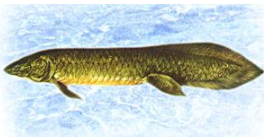 ����Ϳֲ���������Щ ��ʱ��ǿ�Ĳ���������