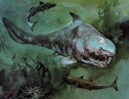 ����Ϳֲ���������Щ ��ʱ��ǿ�Ĳ���������