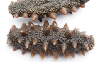 ���ε���ȷ�Է���ȫ ���������ѵ�5�ֳԷ�