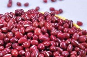 ���ڳԺ춹�ĺ��� �춹�ĺô��Ƿǳ����