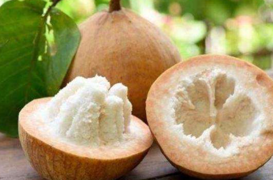 ţ�̹�����ɣ���޻��� ţ�̹��������빦Ч