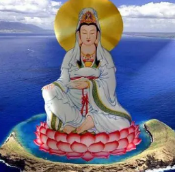 Ů���μ������������� Ԥʾ���߽����˳̺�ͨ