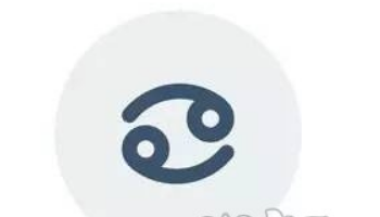 ʮ���������Ŵ�ȫ���� ʮ�������ֱ����ʲô����