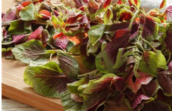 ���˵Ĺ�Ч��Ӫ����ֵ ���˹ؼ�ʹ�ü�ֵ