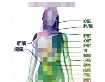 ���屳����ʹ��Ӧ���� ����Ҫ�������־���