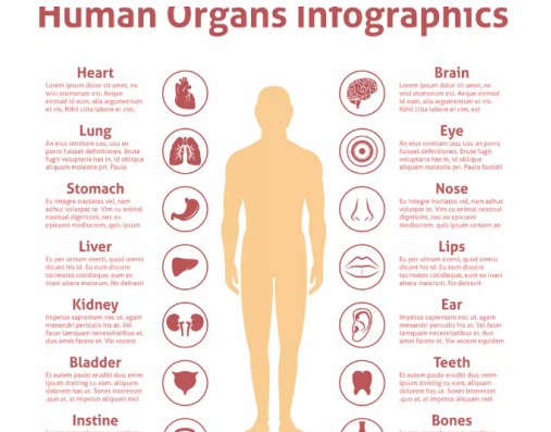 ���屳����ʹ��Ӧ���� ����Ҫ�������־���