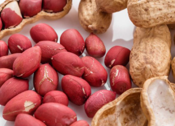 ���������׶�������ʲô�ô� ���Դٽ���������ķ���