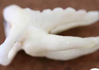 �μ������������������ܹ����� ��ͬ���������������ǲ�һ����