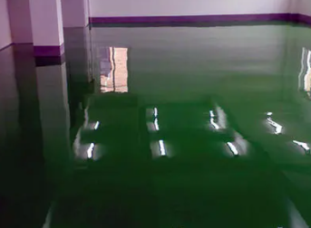 ����������ʲô��˼ ѡ�����ɼ�ע������