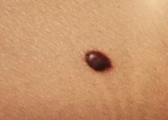 ��ɫ�������ͨ������� ͨ�����Գ�������