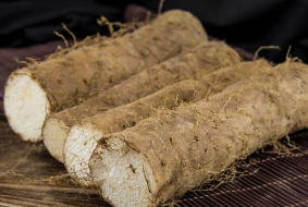 ����׳��ʳ�����а�10ǿ