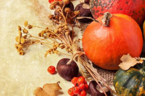 ����׳��ʳ�����а�10ǿ