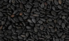 ����׳��ʳ�����а�10ǿ