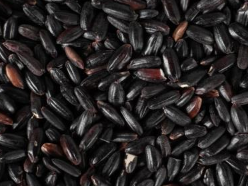 ����׳��ʳ�����а�10ǿ