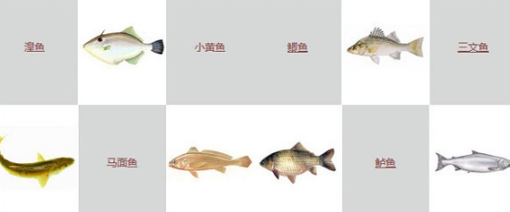 �������ͼƬ������ ������������๲Լ2������