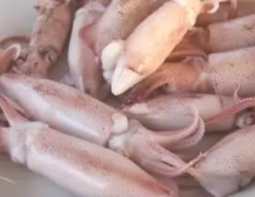 ����Ĺ�Ч�����ý��� ��һ�ֺ������ڷ���