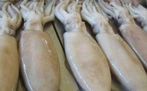 ����Ĺ�Ч�����ý��� ��һ�ֺ������ڷ���