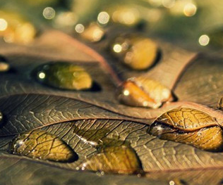 ��ӭ���˵�������� ���ӽ�������������