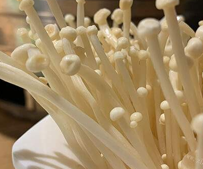 ��Ģ�������˻��ܳ��� ���û���õ��ǿ��ԳԵ�