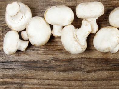 ��Ģ�������˻��ܳ��� ���û���õ��ǿ��ԳԵ�