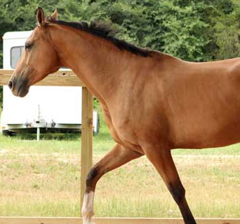 ��������Щ��Ф �������ļ�����Ф