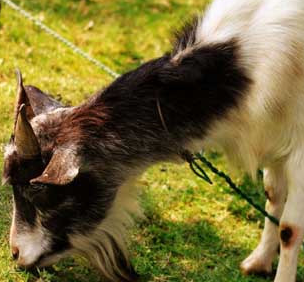 ��������Щ��Ф �������ļ�����Ф