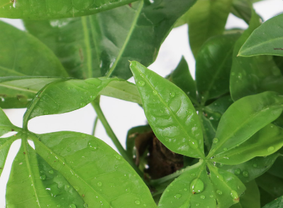 �������Ļ���Ԣ�� �������Ĵ�˵����