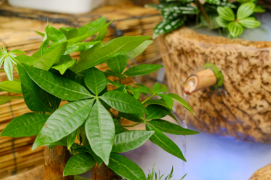 �������Ļ���Ԣ�� �������Ĵ�˵����