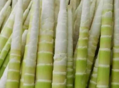 ��ʲô�����˲��ܳ����� ����Զ�����ʲô����