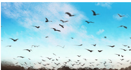 Ů���μ�����ˮ��ʲôԤ�� Ů�������ε�����ˮ���ξ�����