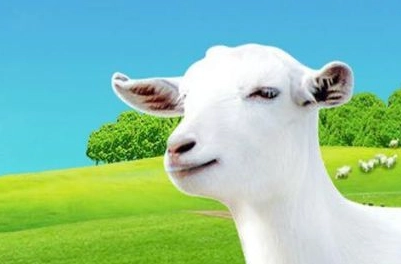 �����̵ĺô��ͻ��� ���̵�Ӫ�����ʸ��Ӹ�