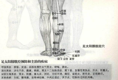 ����ʮ��������ͼ �������������������Ŷ��Ĺؼ�