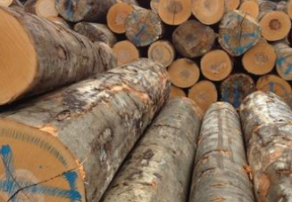 �ľ����ľ�ĸ��� ���ܵ�����˵��һ������