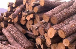 �ľ����ľ�ĸ��� ���ܵ�����˵��һ������