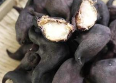 ��ǳ������� ����ǳ���ˮ���