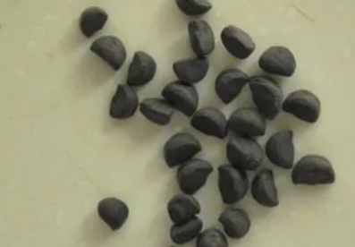 ǣţ�ӵĹ�Ч������ ǣţ�ӵ�ע������