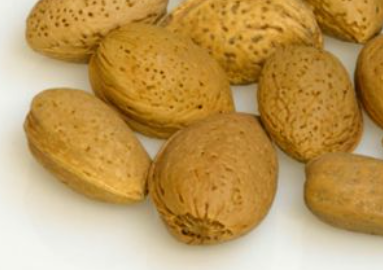 ���ʵĹ�Ч�����ú��� �����ʵĺô�