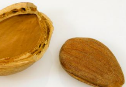 ���ʵĹ�Ч�����ú��� �����ʵĺô�