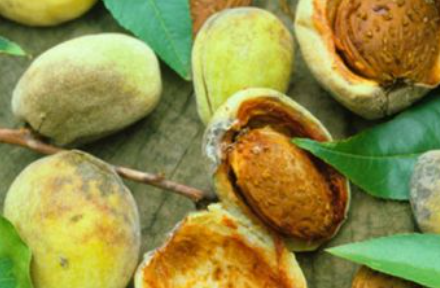 ���ʵĹ�Ч�����ú��� �����ʵĺô�