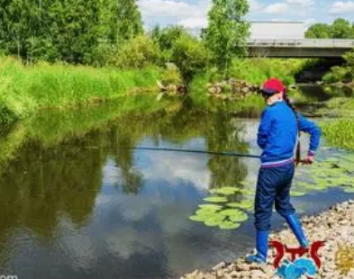 �ѻ������μ�ץ�� �μ�ץ����Ҫ�������ջ�