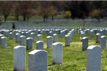 �μ�ĸ��ȥ����ɥ����ʲôԢ�� �μ��������˻���ɥ��