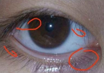 ������ʲô����ͼƬ �ܶ��˶����е���