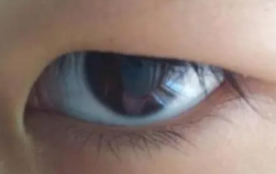 ������ʲô����ͼƬ �ܶ��˶����е���