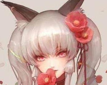 ���׼����Ы����ʲô�� ��Ы��������ٱȽ�����