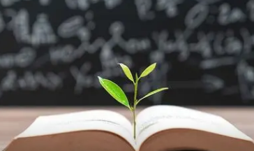 含有夸张的四字词语 带有运用夸张手法的四字成语