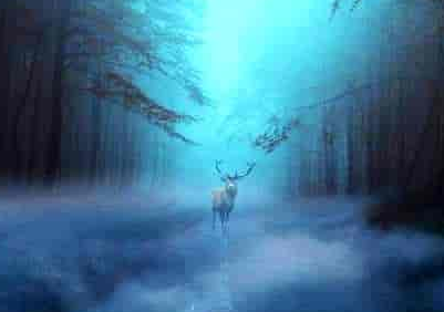 含有夸张的四字词语 带有运用夸张手法的四字成语