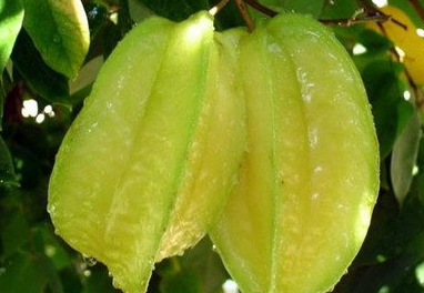 �����ҵĹ�Ч������ ���ν�Ѫ������ƣ�͸�